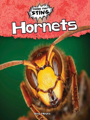 cover image of Hornets